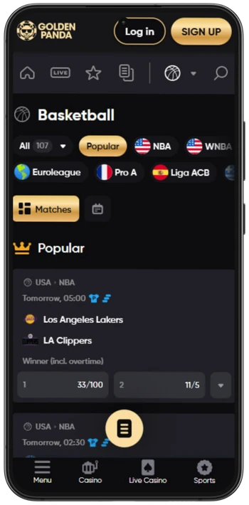 Golden Panda basketball